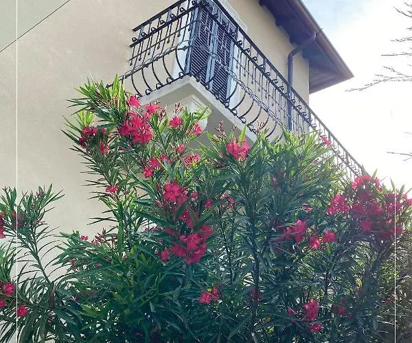 Gaffurio Guest house *