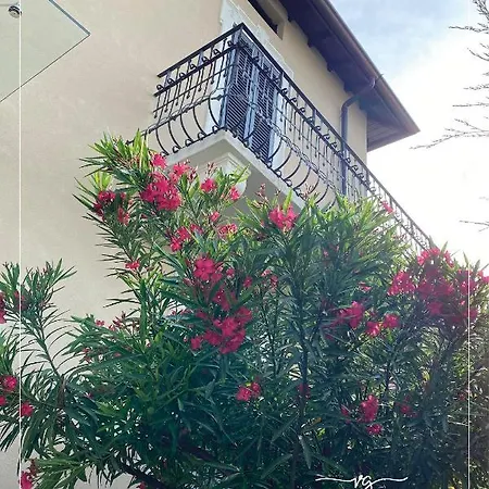 Gaffurio ゲストハウス *